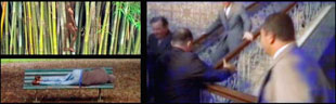 videostills