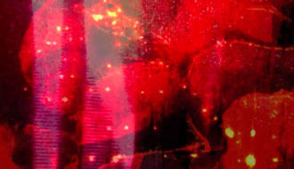 click to open video still