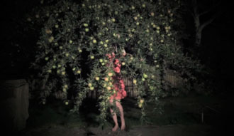 click to open video still