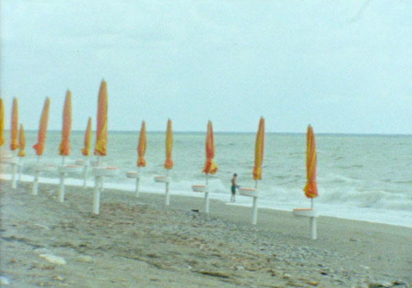 Pini Caldi