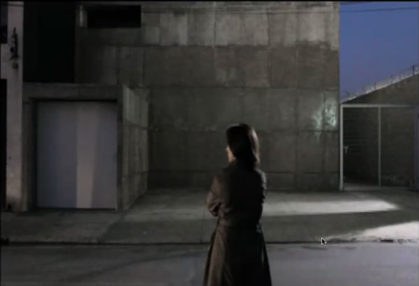 Elaine Tedesco videostill