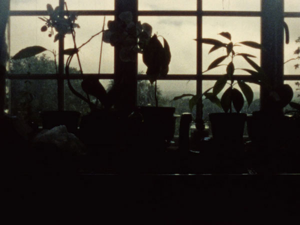 James Edmonds film still