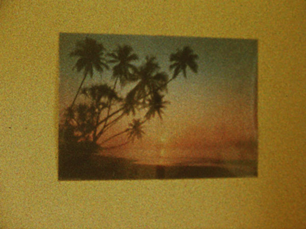 James Edmonds film still