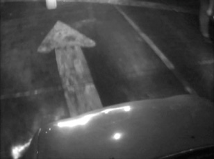 Video Still