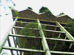 Video Still